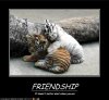 funny-pictures-friendship-knows-no-colors.jpg