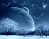 winter-snow-tree-fantasy-1280x10-2.jpg