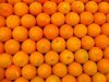 oranges.jpg