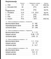 IMG_3160.jpeg