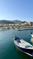 IMG_0263.jpeg