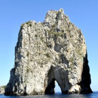 IMG_9524.jpeg