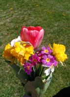 IMG_20260503_182054.jpg