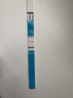 IMG_0638.jpeg