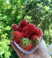 IMG_20260509_124306.jpg