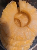 IMG_20260512_164820.jpg