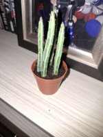 20260512_224309.jpg