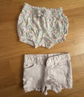 IMG_1601.jpeg