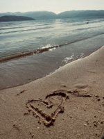 IMG_9433.jpeg