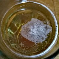 IMG_20260516_125519.jpg