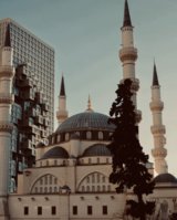 IMG_0818.jpeg
