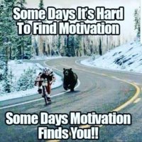 84 Funny Motivational Memes To Inspire You When You Need It Most.jpeg