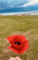 IMG_9560.jpeg
