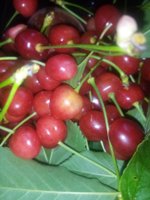 IMG_20260523_184005.jpg