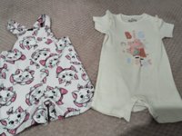 IMG_20260527_204000.jpg