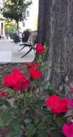 20260518_185757.jpg