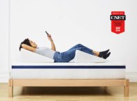 Carousel_-_Wedge_Pillow_-_01_qc2arb.jpeg