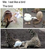 FB_IMG_1780132080495.jpg