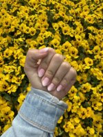 IMG_2991.jpeg