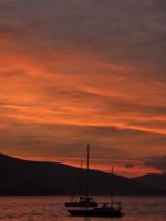 20241103_164841.jpg