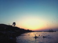 IMG_1780815275250.jpg