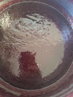 20260609_112655.jpg