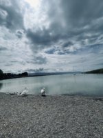 IMG_9759.jpeg