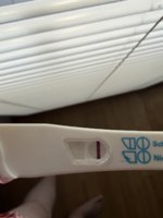 IMG_7110.jpeg