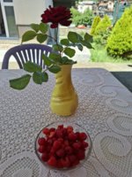 20260615_113541.jpg