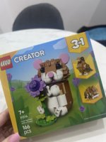 IMG_2892.jpeg