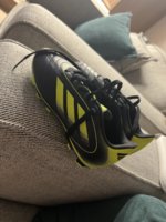 IMG_3620.jpeg