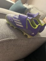 IMG_3621.jpeg