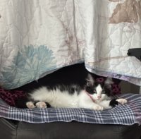 IMG_1207.jpeg