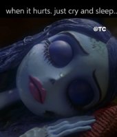 IMG_6667.jpeg