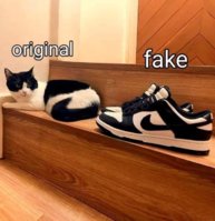 22034a96-6afe-4c75-9689-a47e99c64c99.jpeg
