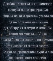 IMG_9945.jpeg