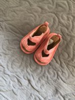 IMG_3738.jpeg