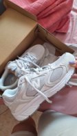 20260616_171644.jpg