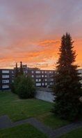 IMG_20260628_214606_387.jpg