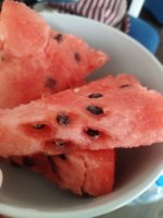 IMG_20260630_121846.jpg