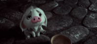16.gif