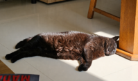 file_00000000c8d0720ab83b0aa4a0c231e9.png