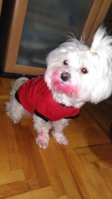 IMG_4689.jpeg