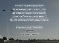 IMG_0233.jpeg