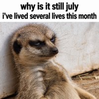 FB_IMG_1785336490742.jpg