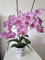 20260630_093206.jpg