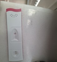 20260801_073919.jpg