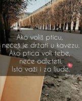 IMG_2084.jpeg