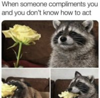 a36fe06429d7c3d8e7f174f649d160c4.jpg