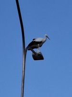 20260801_183659.jpg